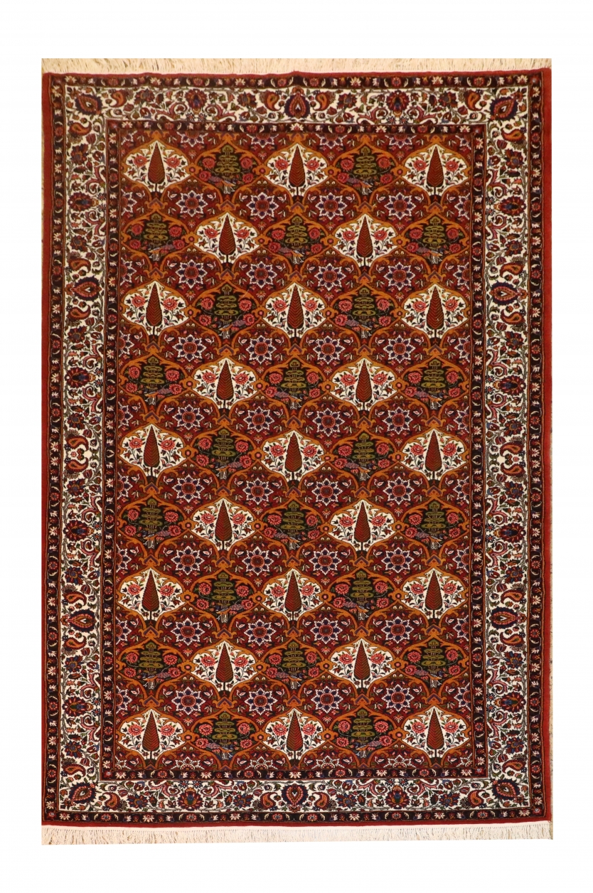 درختی یک طرفه